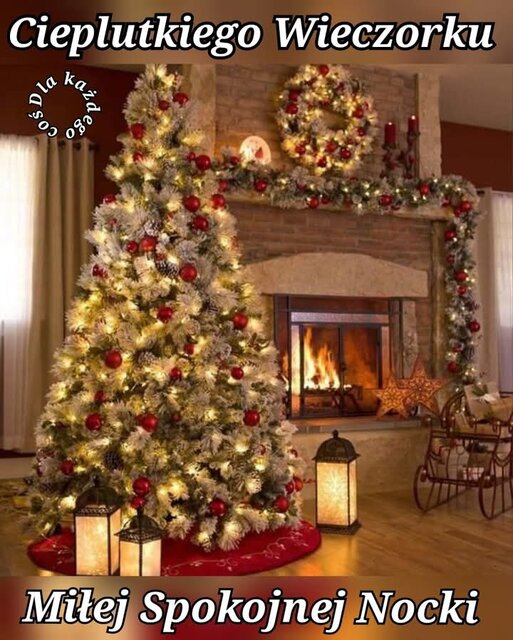 IMG-20250109-WA0000.jpg - RealnyWacek21