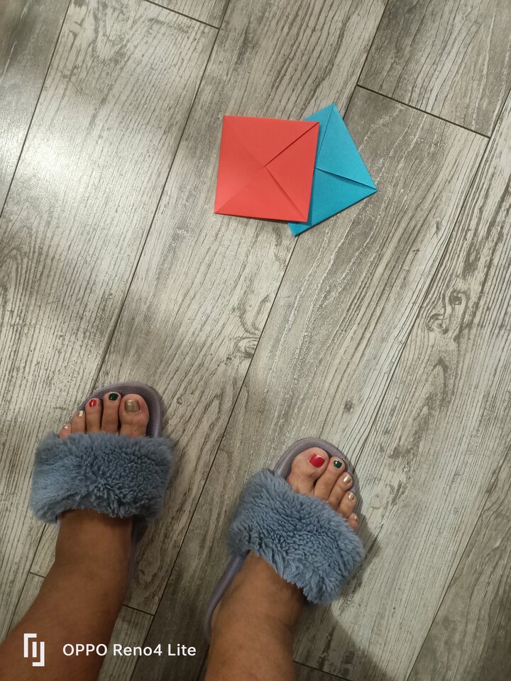 IMG20250109193631.jpg - rasowa_suka45