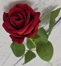 Screenshot_2025-01-10-22-50-04-678_com.google.android.googlequic