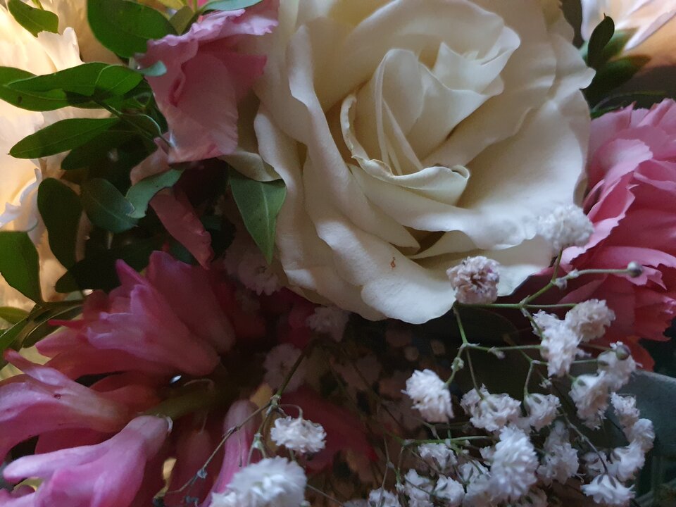 20250111_082155.jpg - ulada