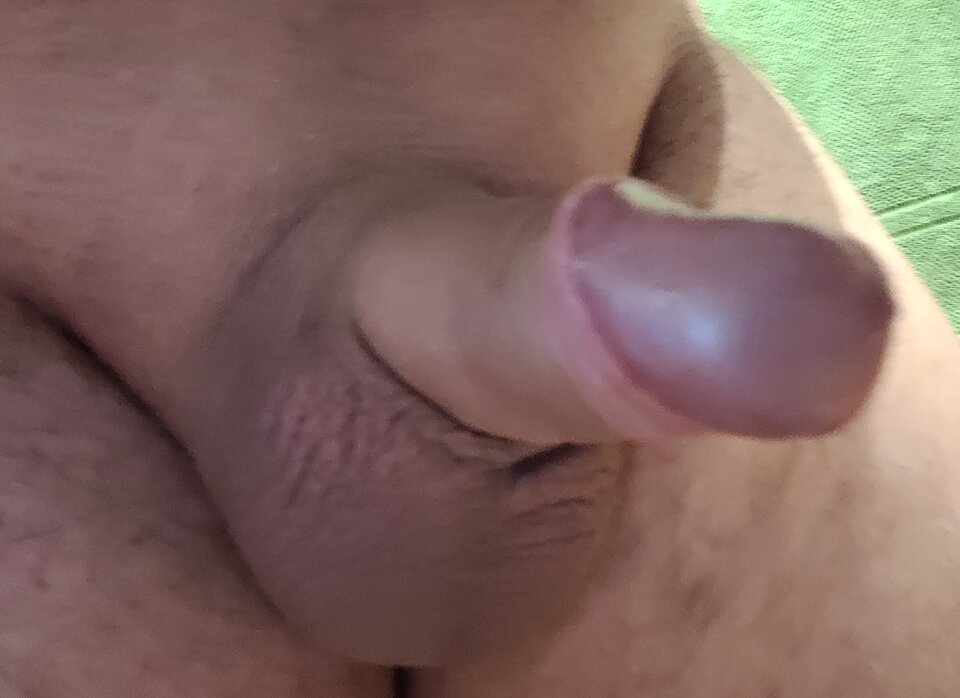 20250111_140833.jpg - Bart88d