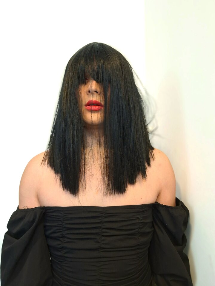 20250111_141459.jpg - Crossiopeia