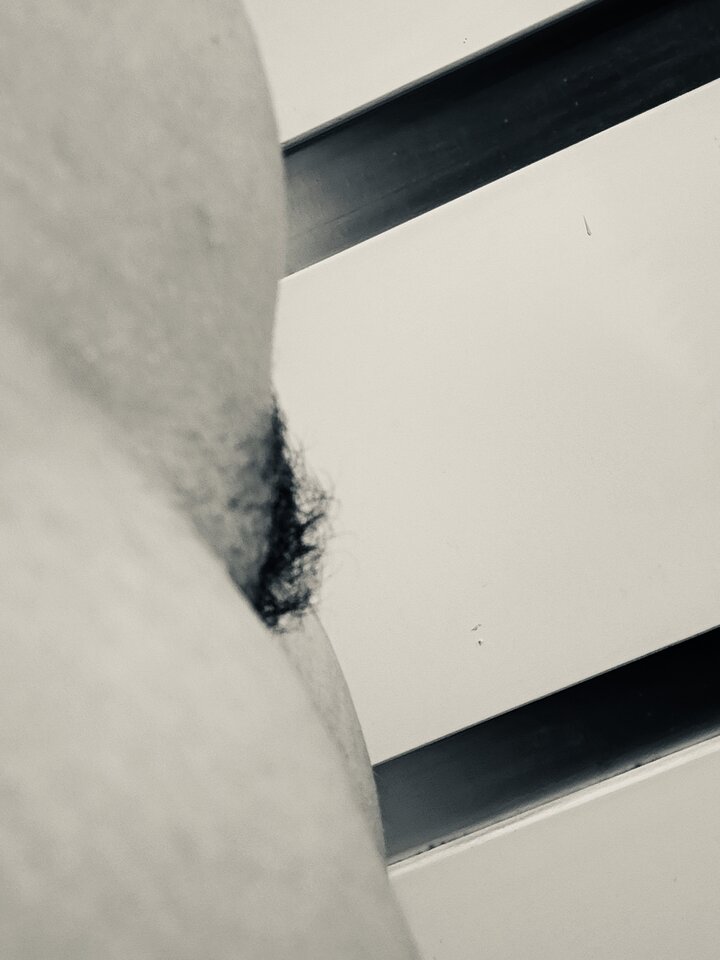 1000013208.jpg - MadamandViking