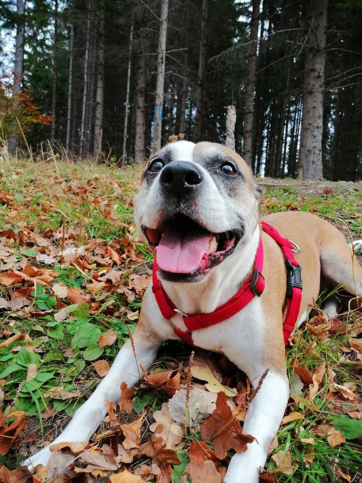 1000000032.jpg - Dwuteownic98