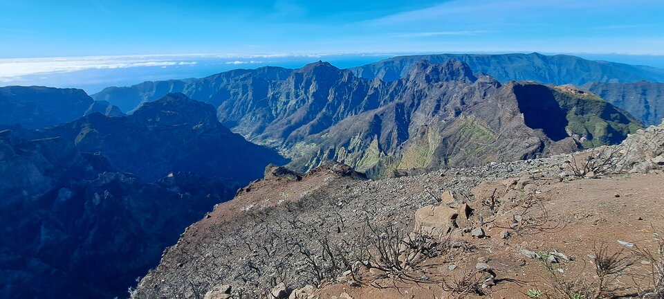 1000016062.jpg - biggie1234