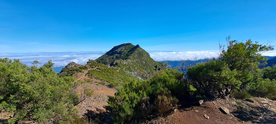 1000016063.jpg - biggie1234