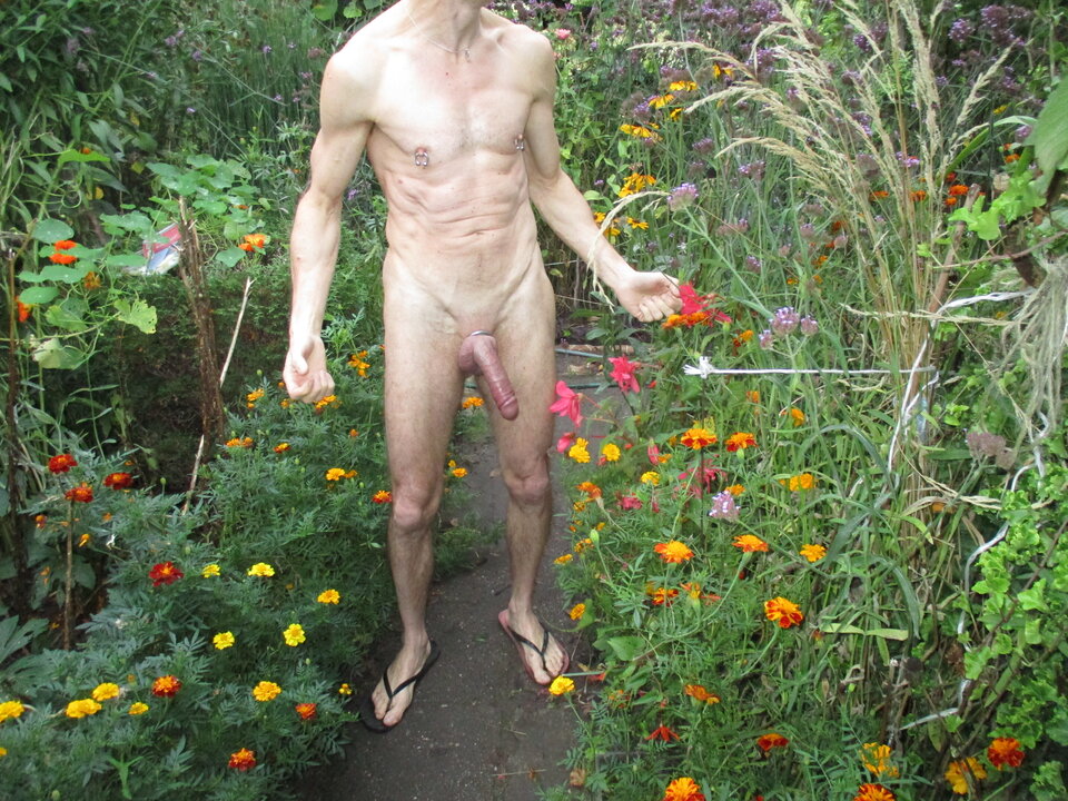 IMG_8961.JPG - gawel35