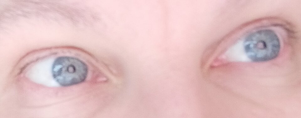 IMG_20250112_103450.jpg - Czerwonakalia