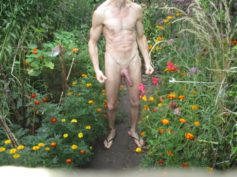 IMG_8964.JPG - gawel35