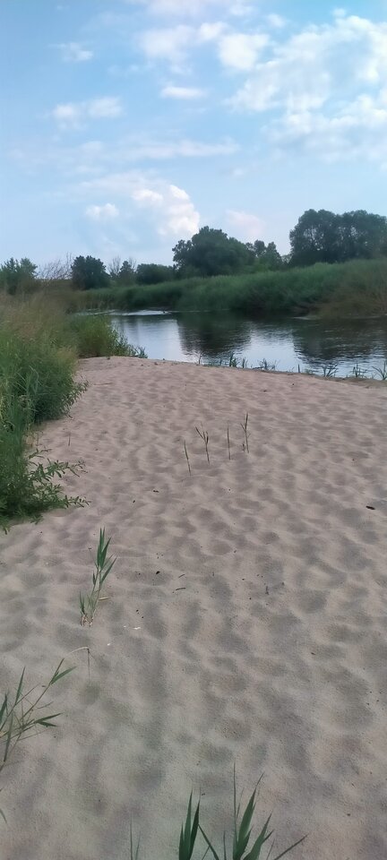 0faf2981-5d4c-410e-ad85-5fca28fcfa69-1_all_709.jpg - Wszolek