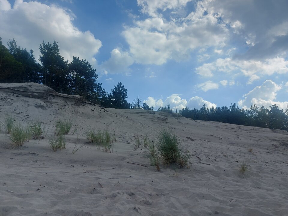 20240816_150456.jpg - Nowapara8079