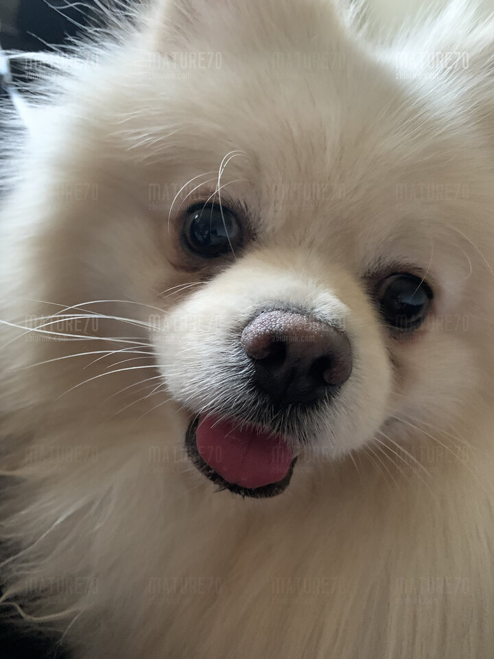 20250109_171132.jpg - Mature70