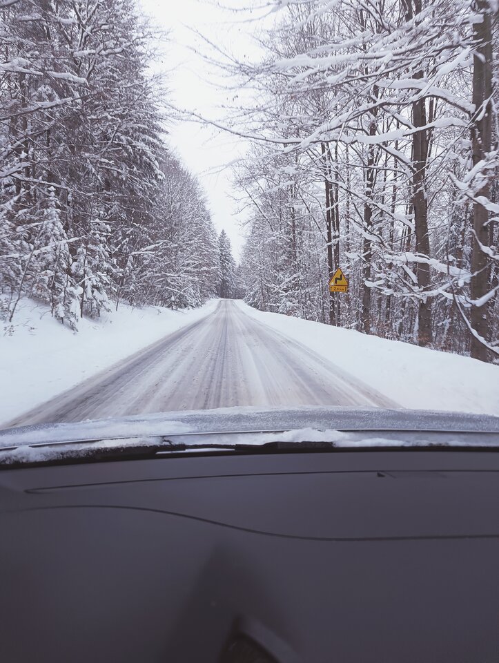 IMG_20250113_200301.jpg - 19Kasia75