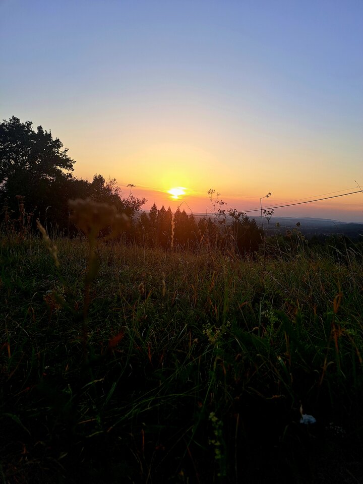 1000028643.jpg - Majk52