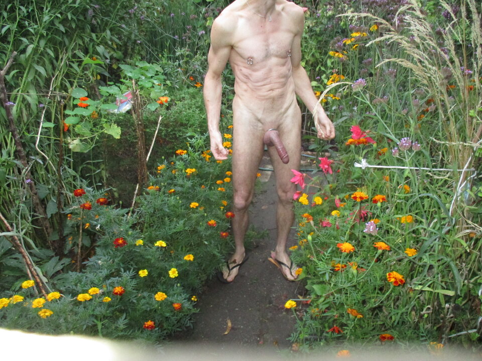 IMG_8969.JPG - gawel35