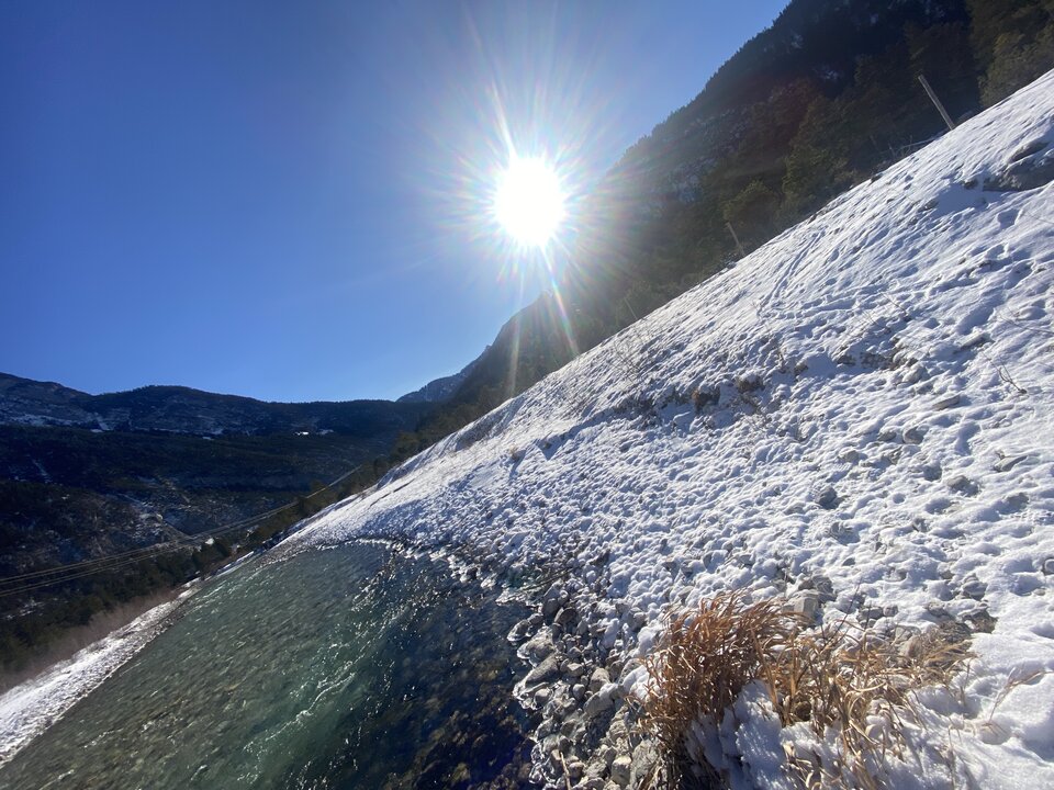 IMG_0919.jpeg - May_Day