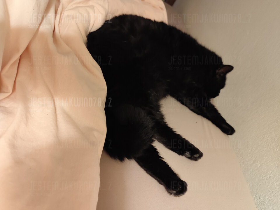 1000004485.jpg - Jestemjakwino78_2