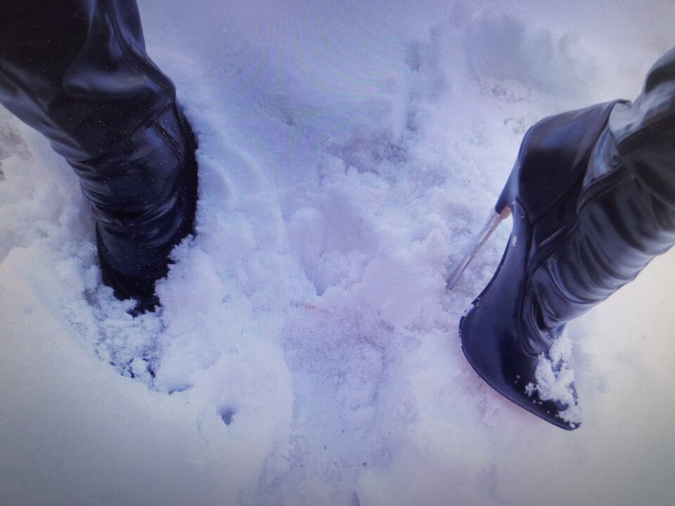 20250114_122256.jpg - SimonaTrans