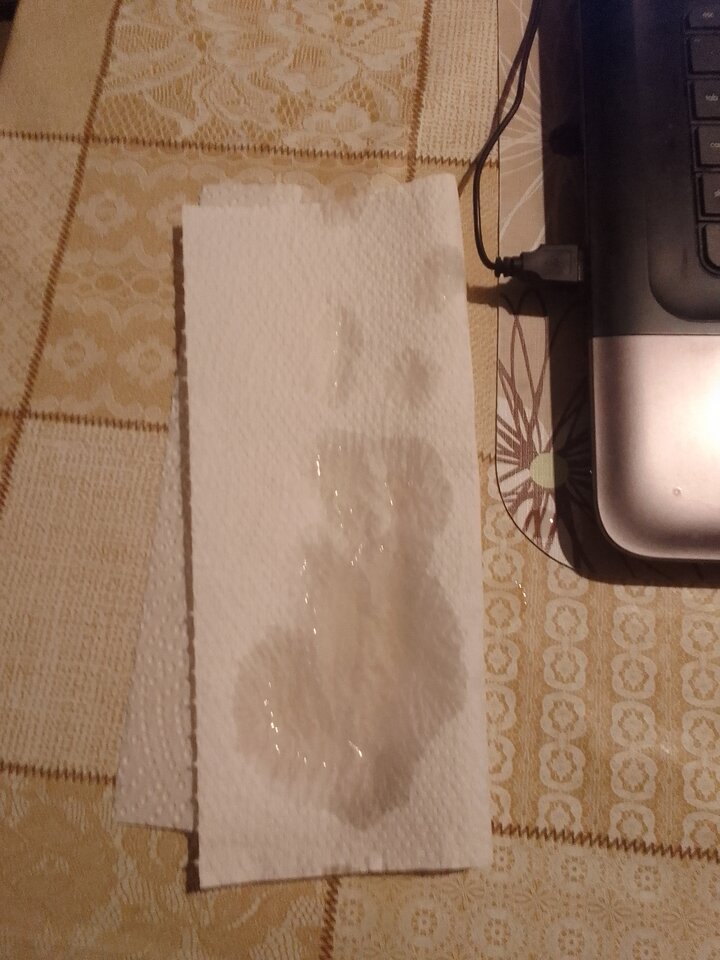 17369651196225677490193753406330.jpg - wrrom