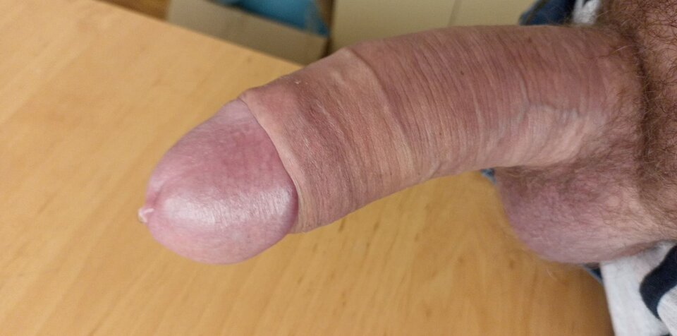 414611580_2088357984852068_7657801855857020624_n.jpg - piotrpodlaskie