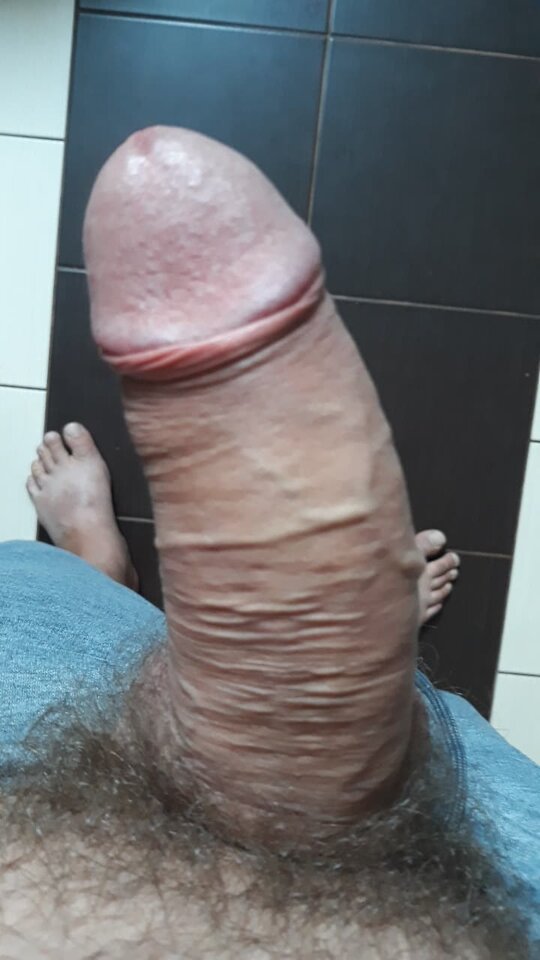 37637318_1644979135570314_8856381207559012352_n.jpg - piotrpodlaskie