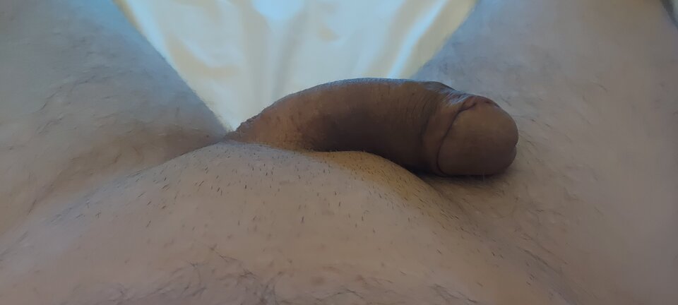 17369809671748676222303746603119.jpg - bi79bi