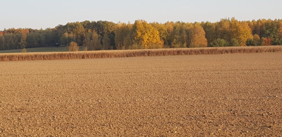 20241027_153429.jpg - Nikeboy13