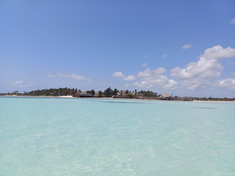 1000004451.jpg - andzik974