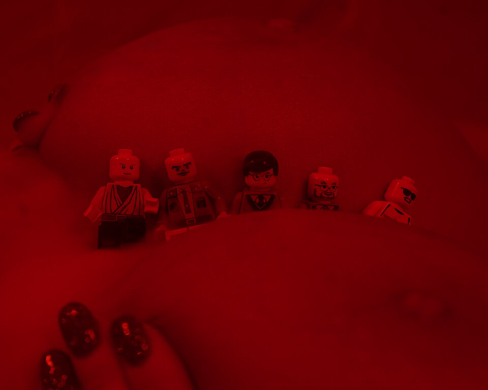 DSC05343.jpg - VladFotograf