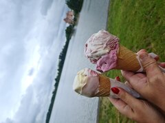 20240624_113215.jpg