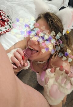 Kocica robi lodzika..