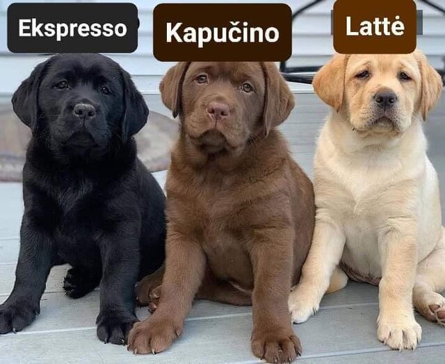 1000001166.jpg - Manius788