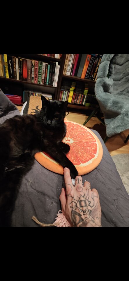 1000036938.jpg - 3szostky