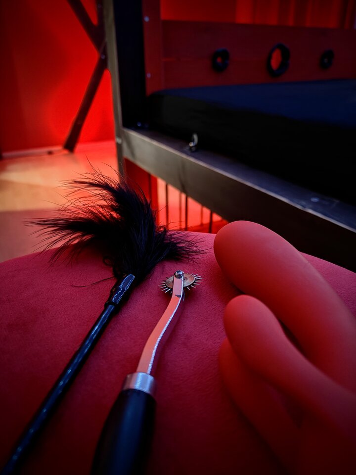 1000000880.jpg - ElysiumPlaysuite