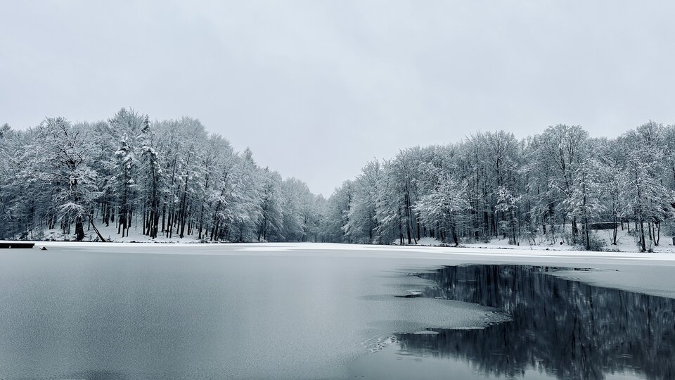 IMG_1896.jpeg - Luxspox