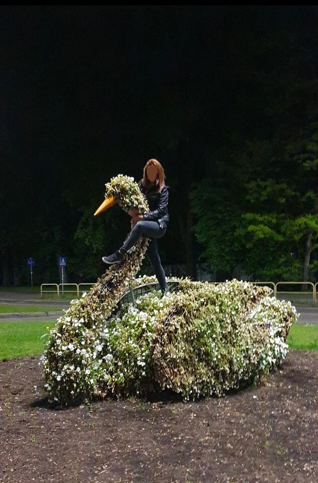 b44fbd44-f953-47b4-ac25-ed99a34d1e0c.jpeg - Luna2022