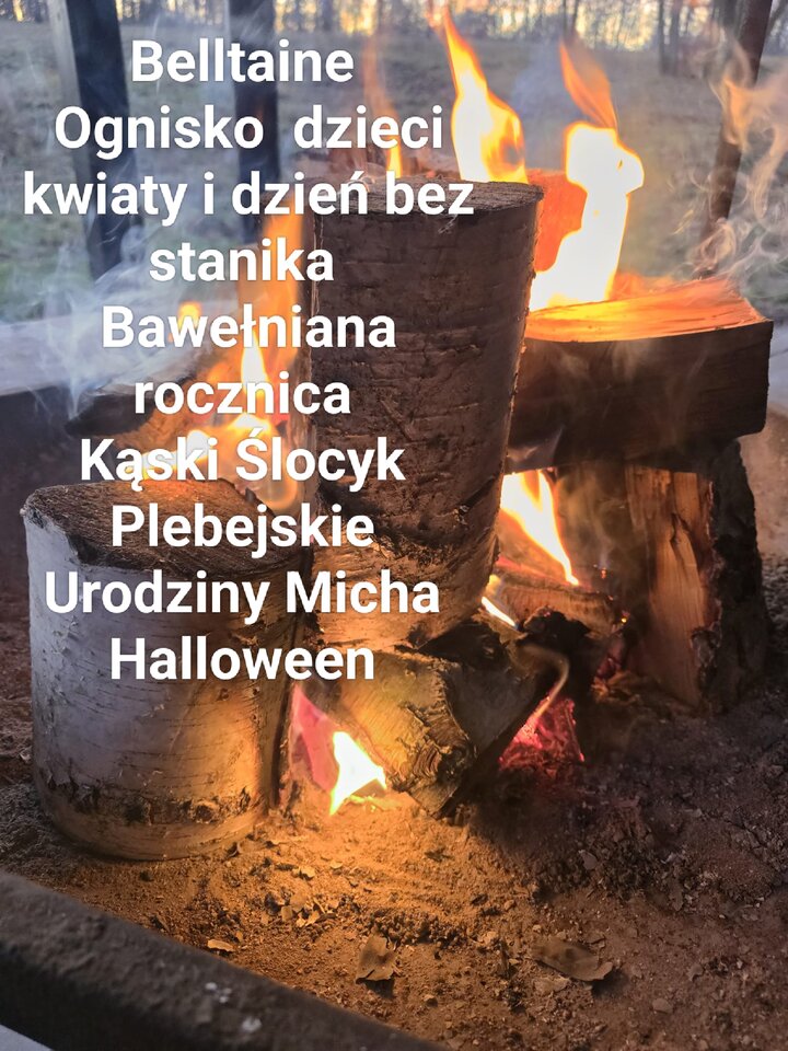 Plan ognisk 2025 - agamich