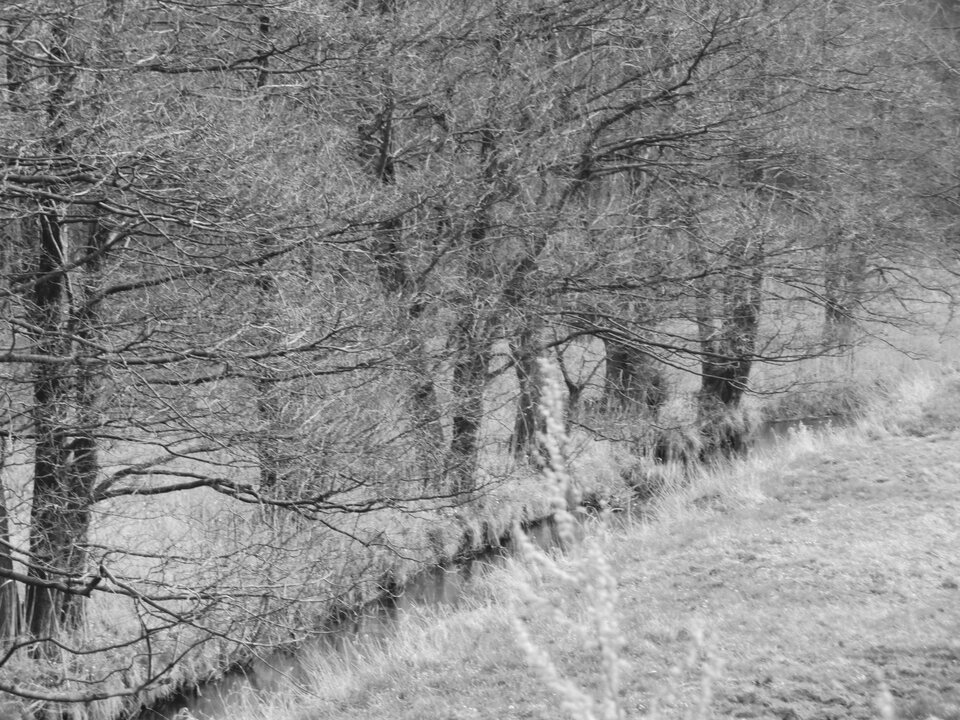 P1000251.JPG - Miniek234