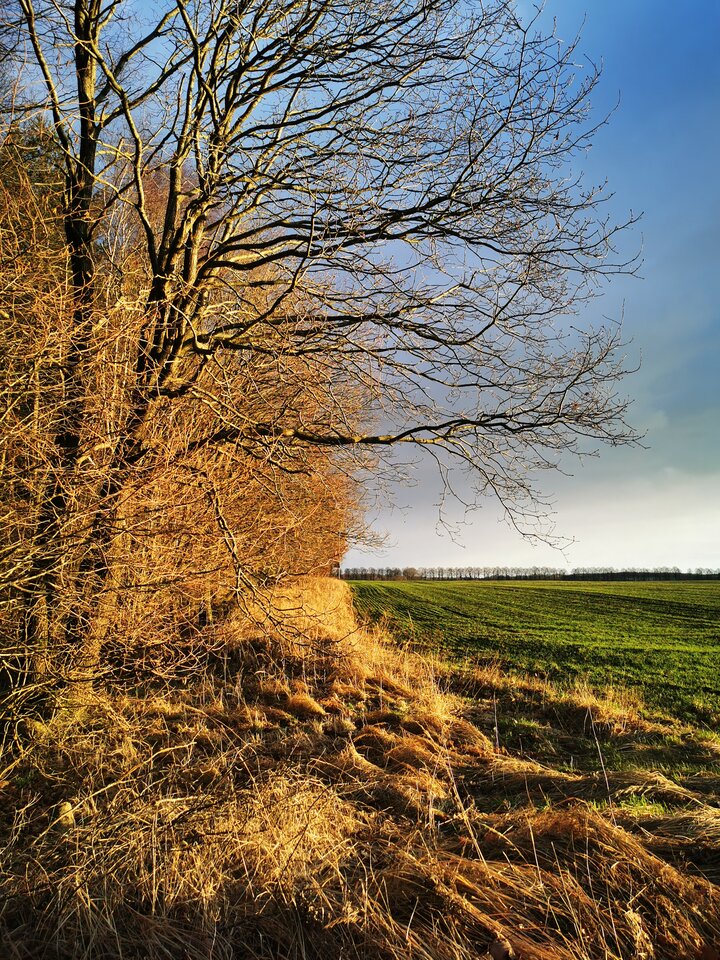 IMG_20230204_155118.jpg - Miniek234