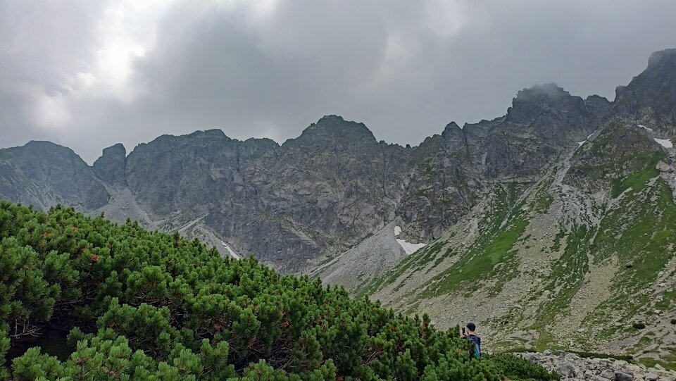 IMG20240720115609.jpg - daro69