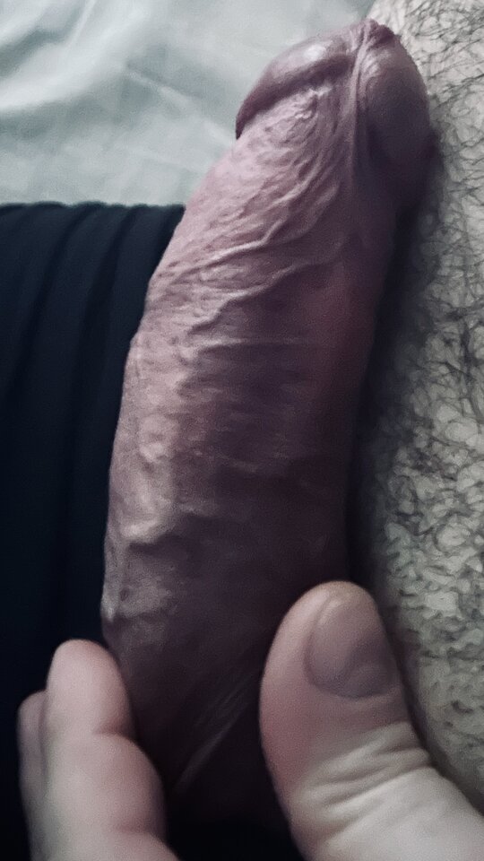 IMG_3106.jpeg - bondjames728