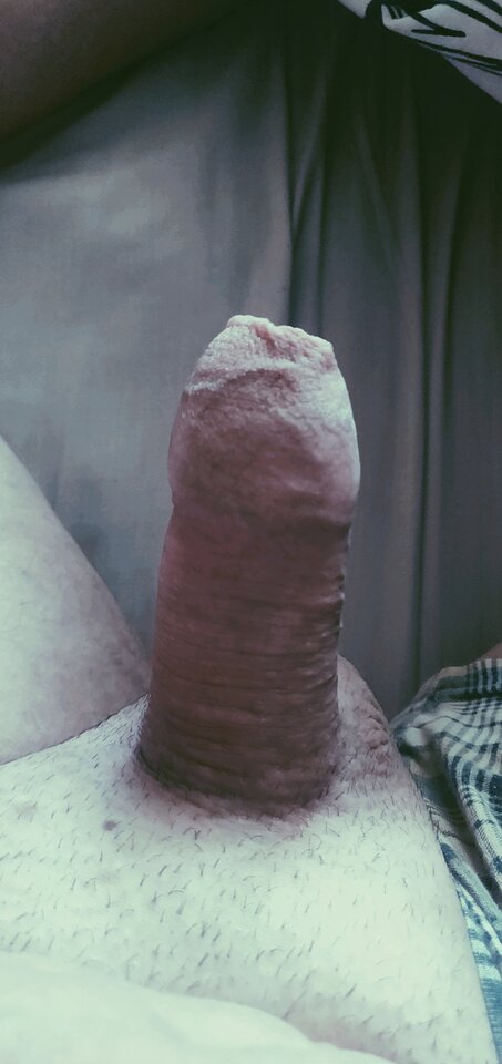 IMG_20250119_100230__01.jpg - fajnykutasek25