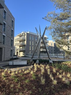 IMG_8383.jpeg