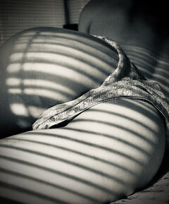 Honey Wife - Słoneczko.jpeg