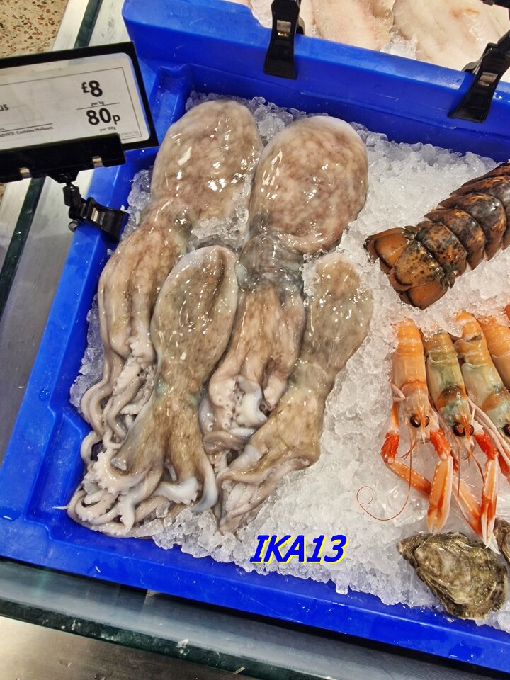 20231221_190328.jpg - ika13