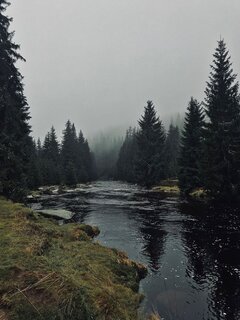 1000040639.jpg