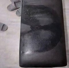 1000019876.jpg