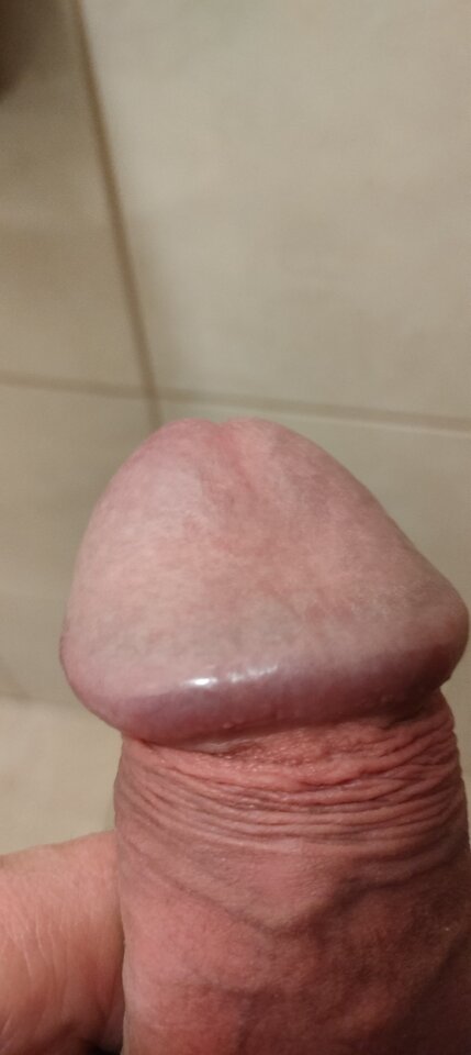 1000028186.jpg - szatan24