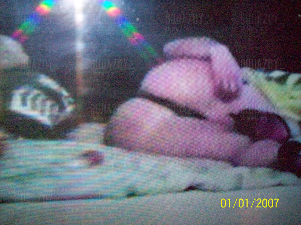 100_2405.JPG - gwiazdy_