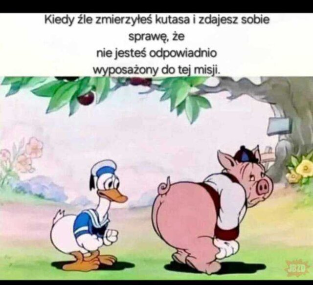 1737531212540.jpg - jedynitacy1976